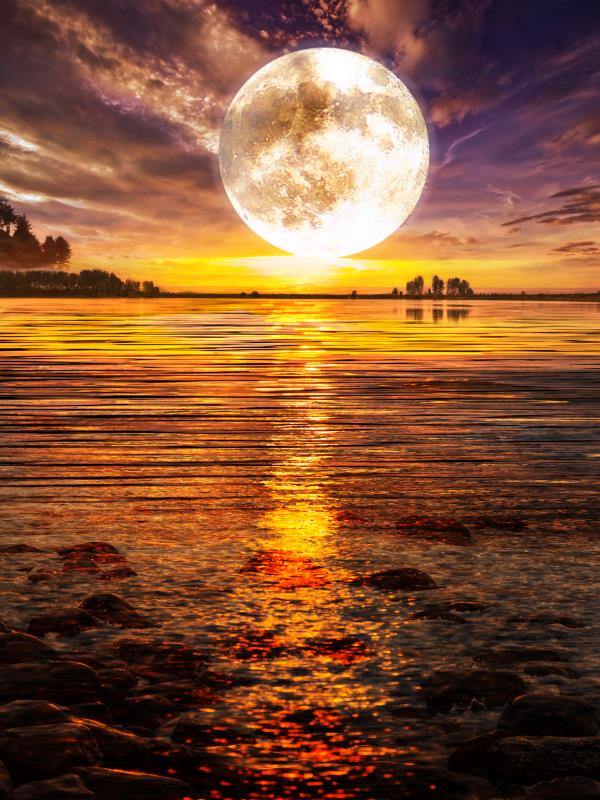 DIY 5D Diamond Painting Moon Tree