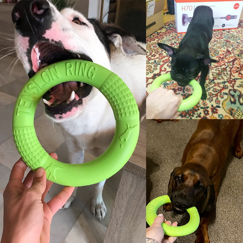 EVA Ring Puller and Bite Ring Toy for Training and Playtime