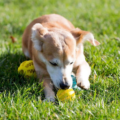 Rubber Snack Ball Toy for Dogs: Fun Tooth-Cleaning Entertainment