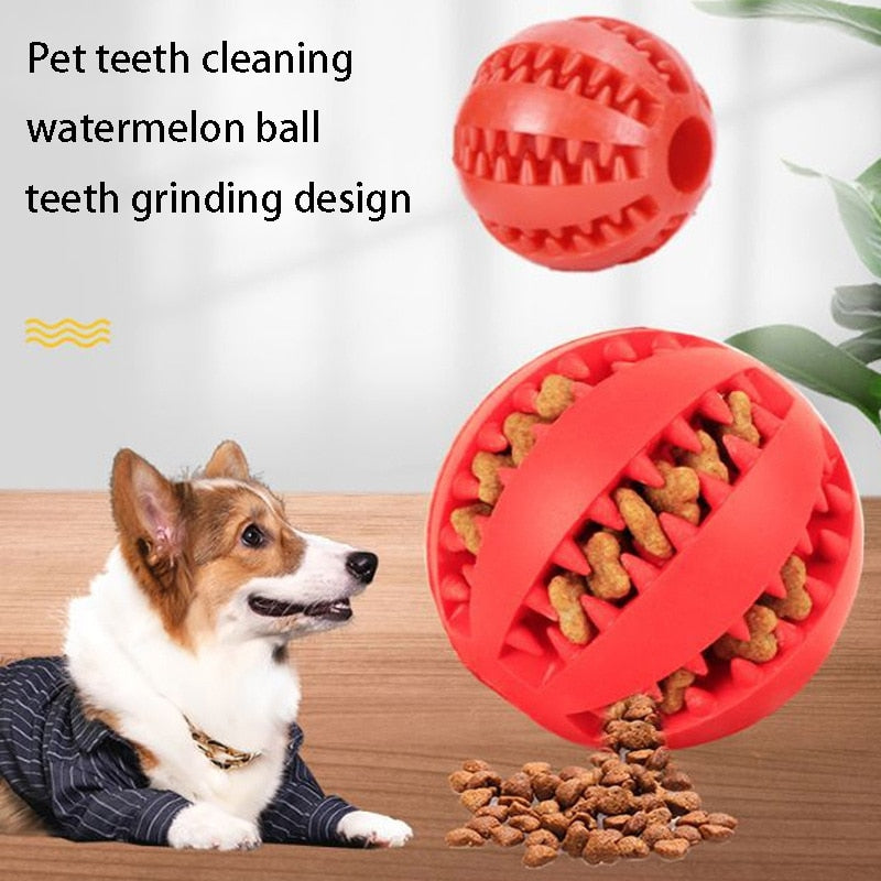 Keep Your Dog Happy and Healthy with Natural Rubber Chew Toys - Perfect for Teeth Cleaning and Interactive Playtime