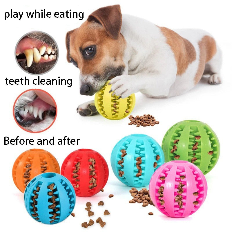 Keep Your Dog Happy and Healthy with Natural Rubber Chew Toys - Perfect for Teeth Cleaning and Interactive Playtime